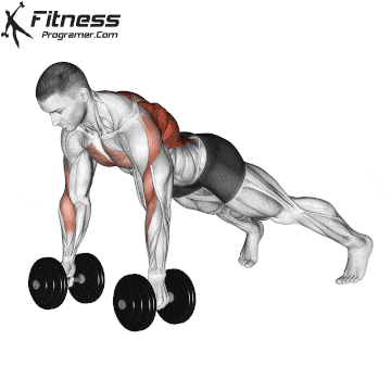 dumbbell renegade row