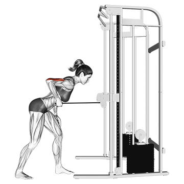 Cable Tricep Kickbacks Overview Form Tips And Benefits