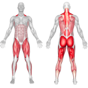 Dumbbell Romanian Deadlift 2 Dumbbell romanian deadlift 1