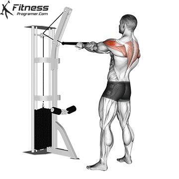 Face Pulls