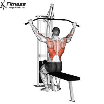 Back Biceps Workout Routine Created By Ziyad Aljaied