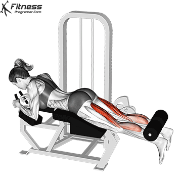 https://fitnessprogramer.com/wp-content/uploads/2021/02/Leg-Curl.gif