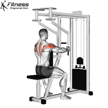 How To: Rear Delt Machine Fly - Benefits, Muscles Worked