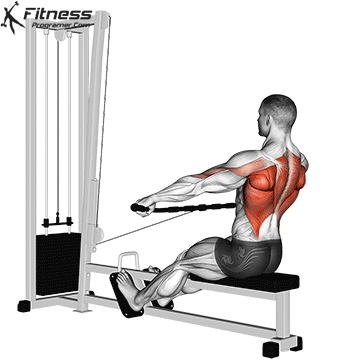 Back Workout Routine Created By Derek Fields