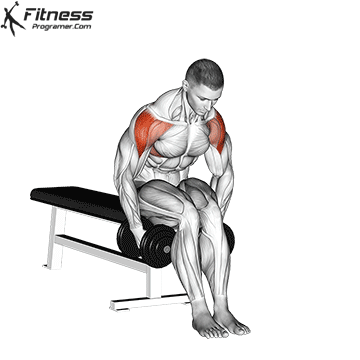 Seated Rear Lateral Dumbbell Raise