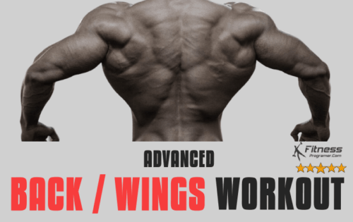 Ultimate Back Workout