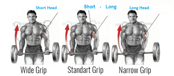 wide grip standing barbell curl