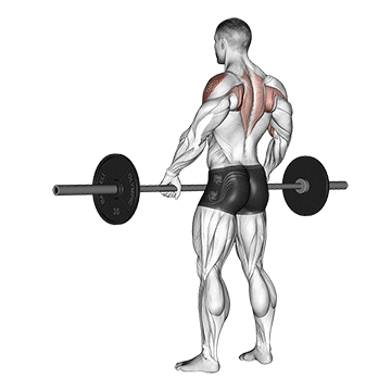 barbell uprightrow