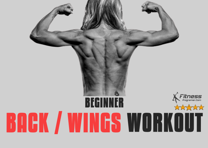 Back Workout For Beginners