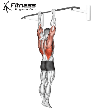 Dead hang pull online ups