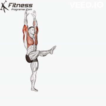handstand holds