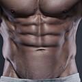 muscular anatomy abs