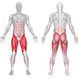 How To Do Barbell Squat  Muscles Worked And Benefits