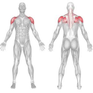 Shoulder Mobility Exercises: Scapular Wall Slides