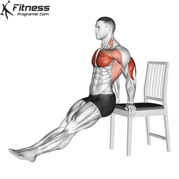 Triceps Workout Routine Created By Ezequias Souza