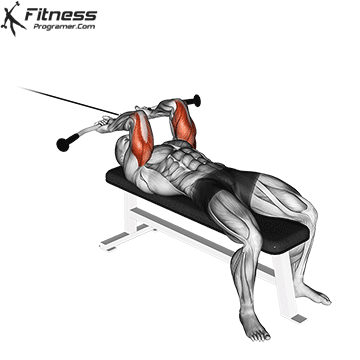 Cable Lying Triceps Extensions