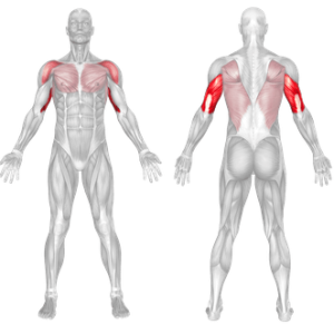 Lever Triceps Dip 2 Lever Overhand Triceps Dip