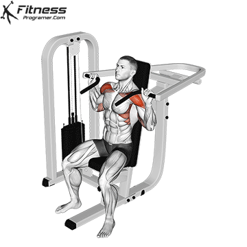 Shoulders Workout Routine Created By Shahd Ziadeh Shoulders Workout Routine Created By Shahd Ziadeh