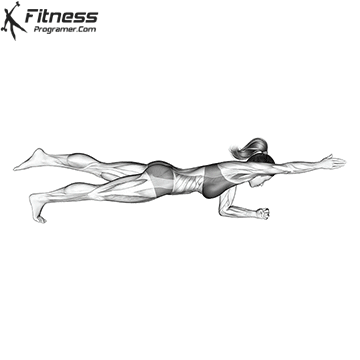 Plank With Arm And Leg Lift