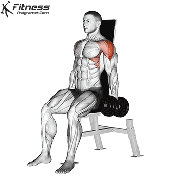 Seated Dumbbell Lateral Raise