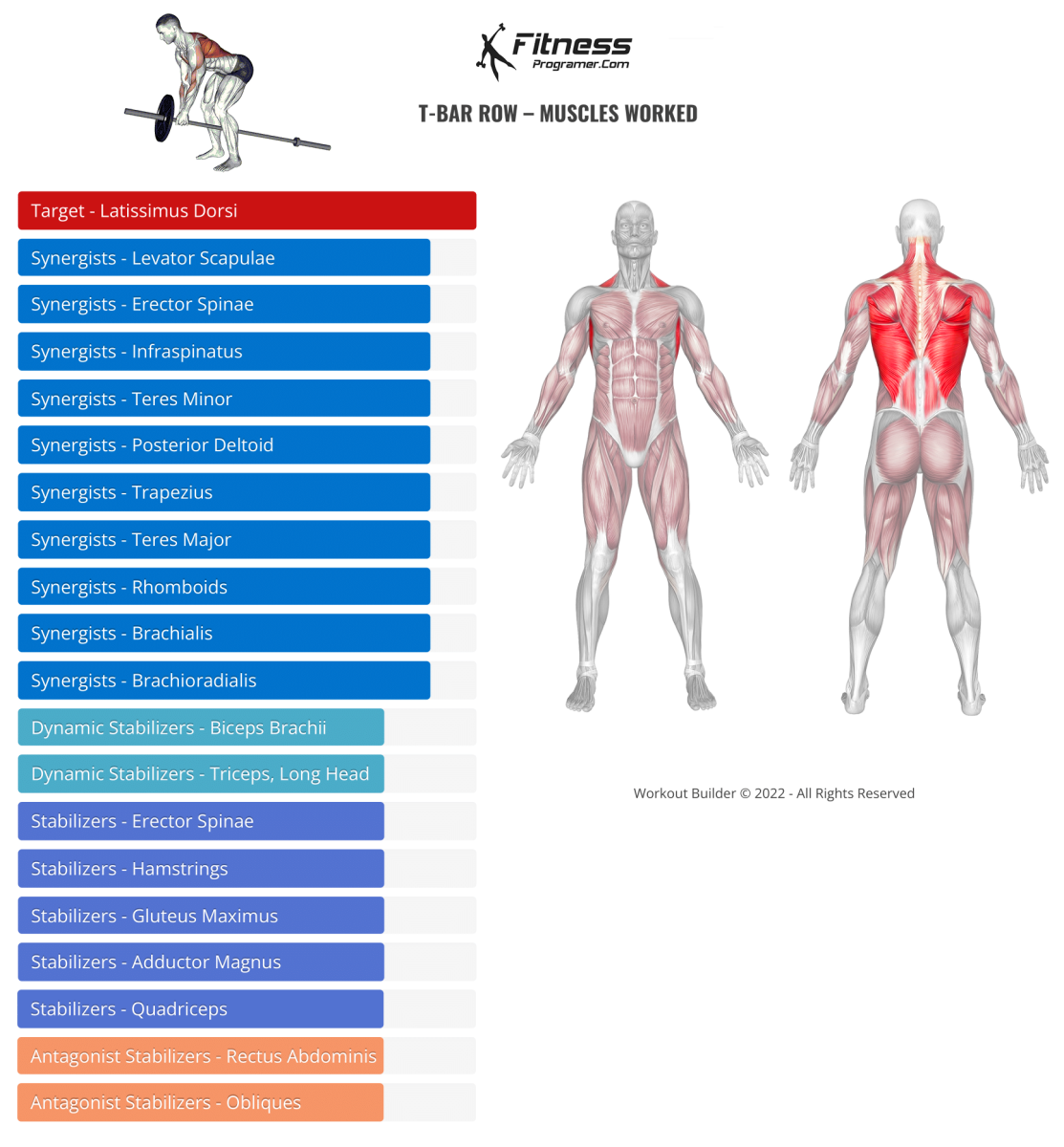 T Bar Row Muscles Worked Benefits