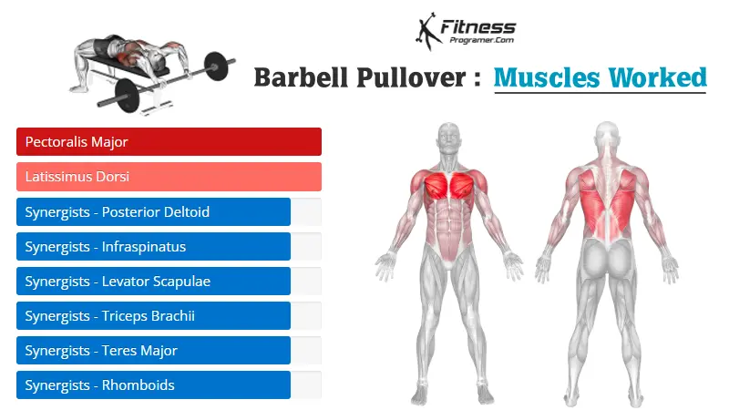 Barbell Pullover 3 barbell pullover muscles worked