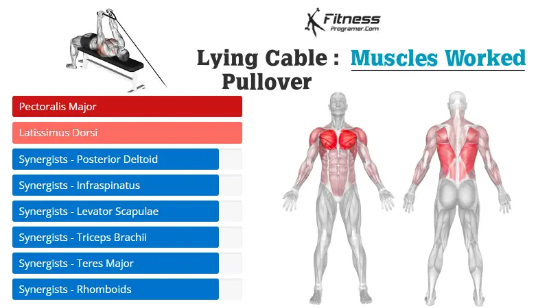 lying cable pullover muscles worked