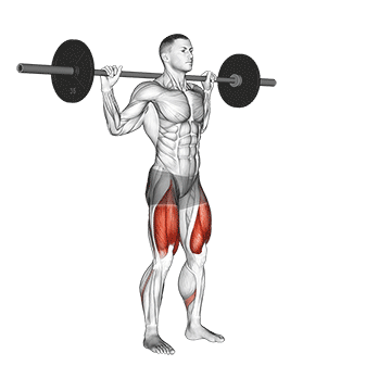 what do lateral lunges do