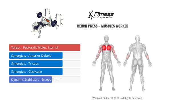 How To A Barbell Bench Press | Muscles Worked And Benefits