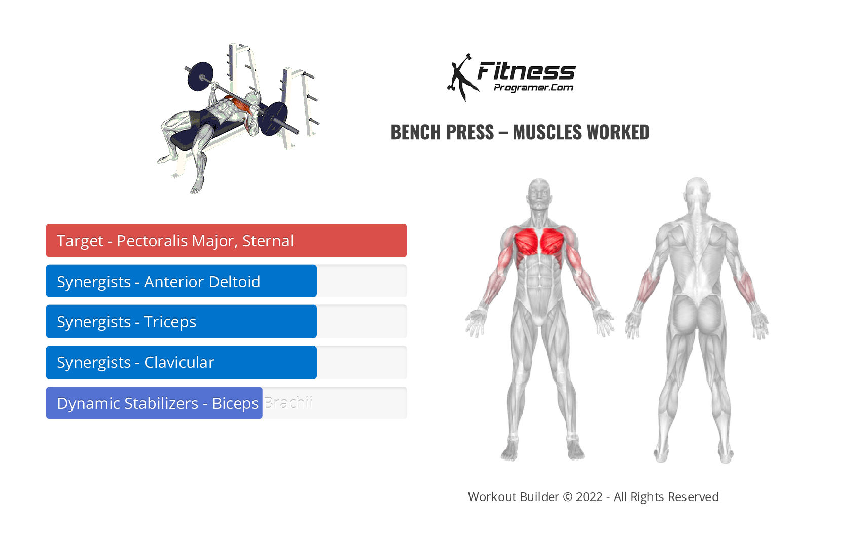 Bench Press Muscles Worked And Benefits