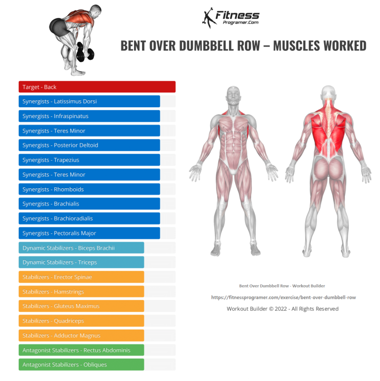 How To Do Bent Over Dumbbell Row Muscles Worked And Benefits 