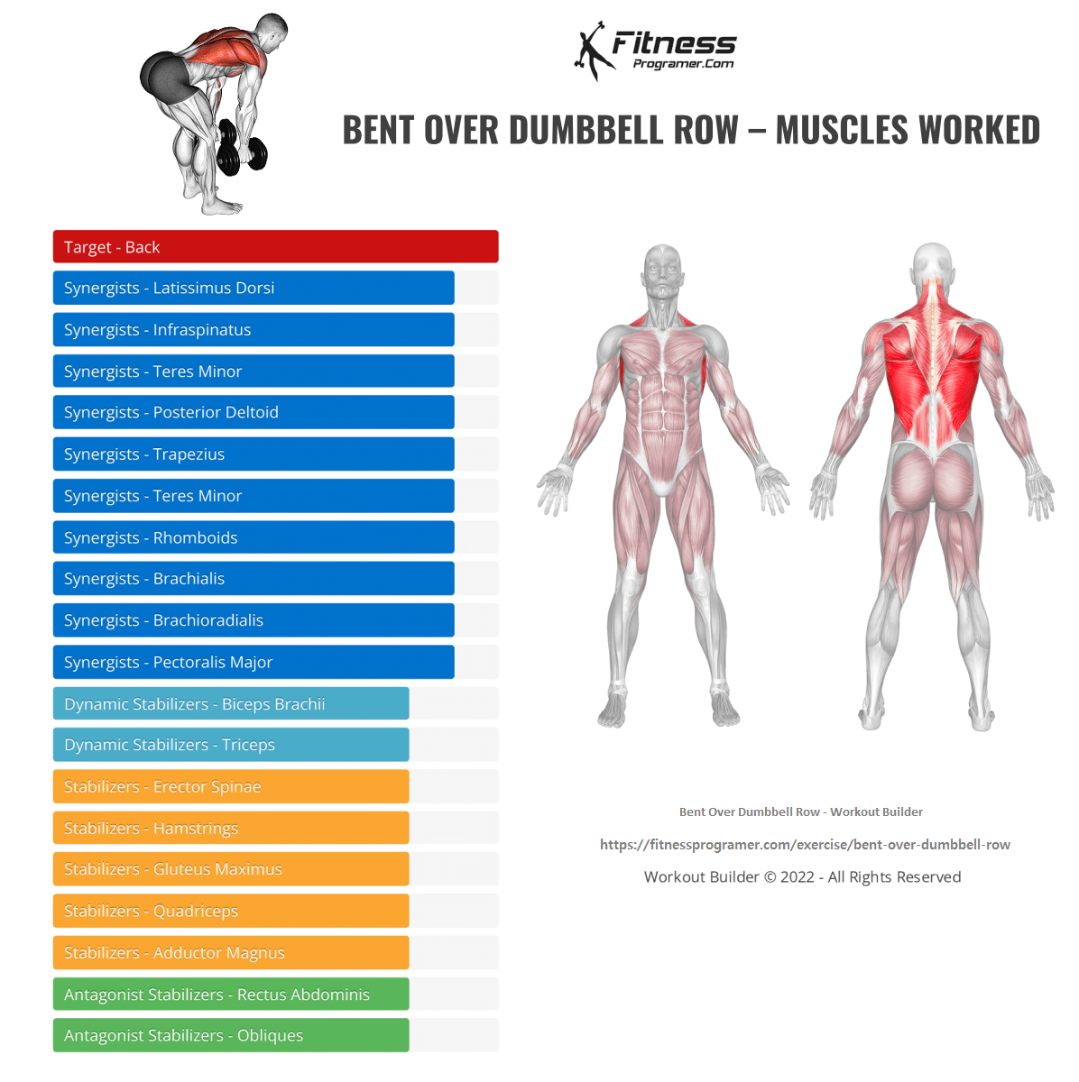 one arm dumbbell row muscles worked