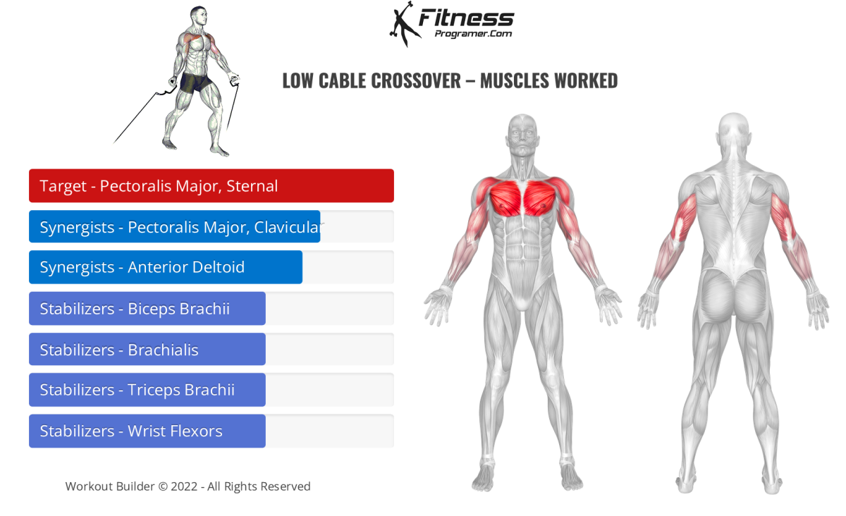 Cable Crossover Muscles Worked 