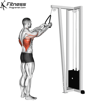 Cable Straight Arm Pulldown
