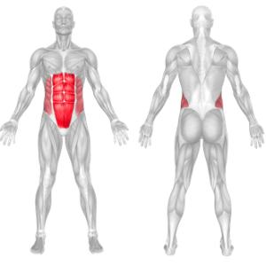 How To Ab Coaster Machine Muscles Worked And Benefits