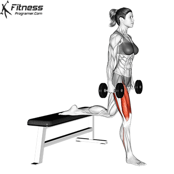 https://fitnessprogramer.com/wp-content/uploads/2021/05/Dumbbell-Bulgarian-Split-Squat.gif