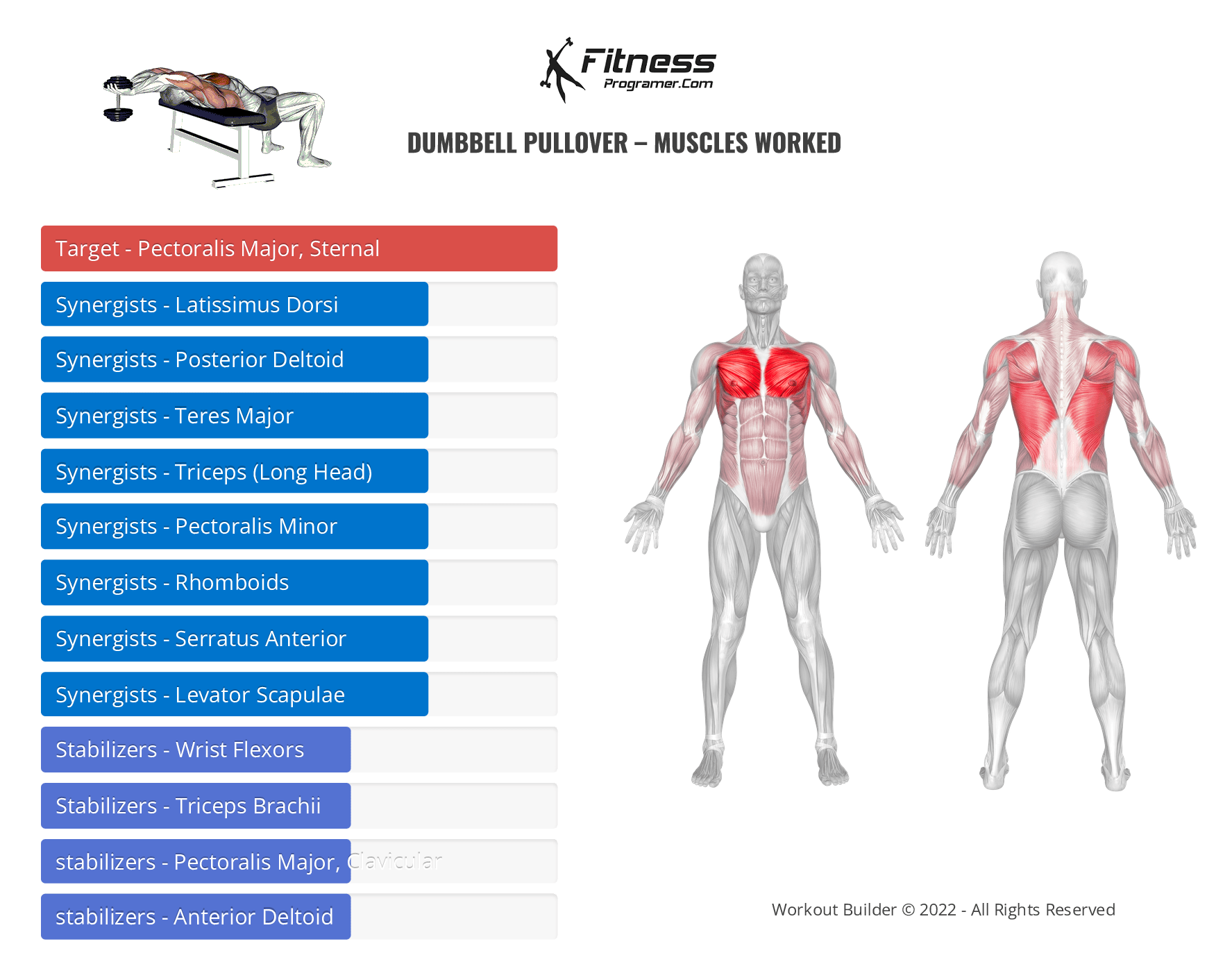 How to Do Dumbbell Pullovers (Form & Muscles Worked) - Steel