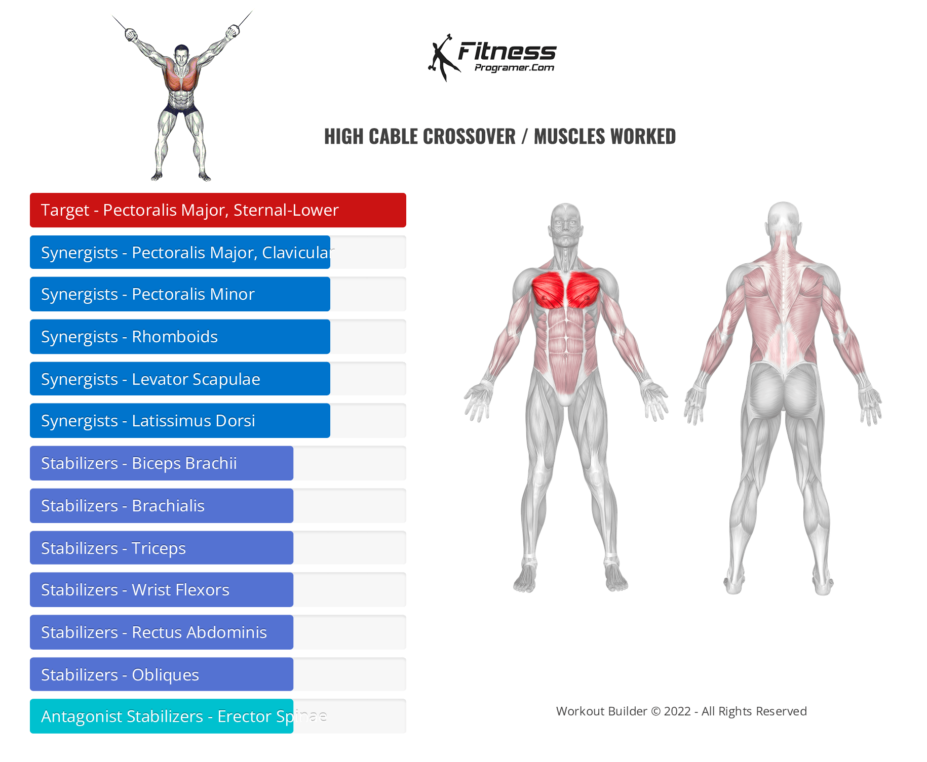 High Cable Crossover Muscles Worked And Benefits