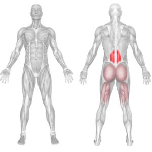 hyperextension anatomy