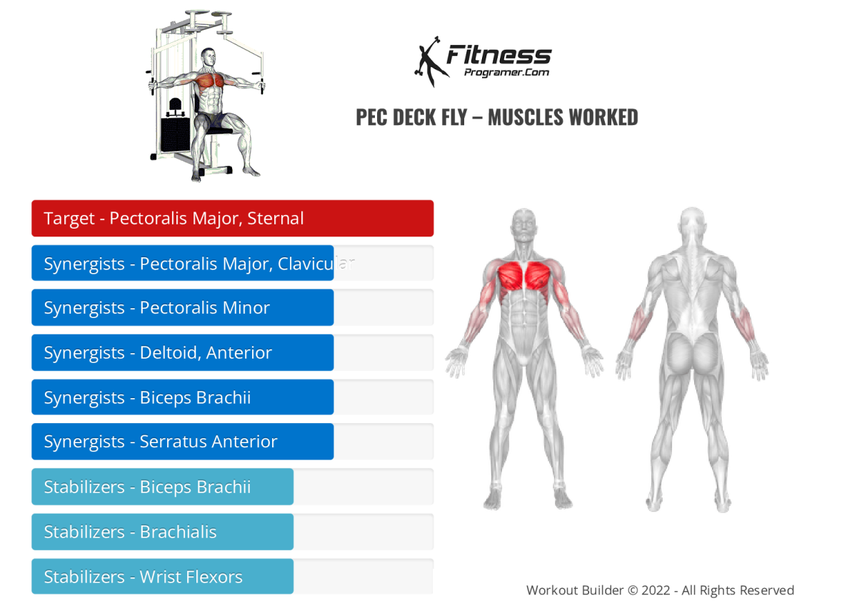 How To Pec Deck Fly Muscles Worked And Benefits