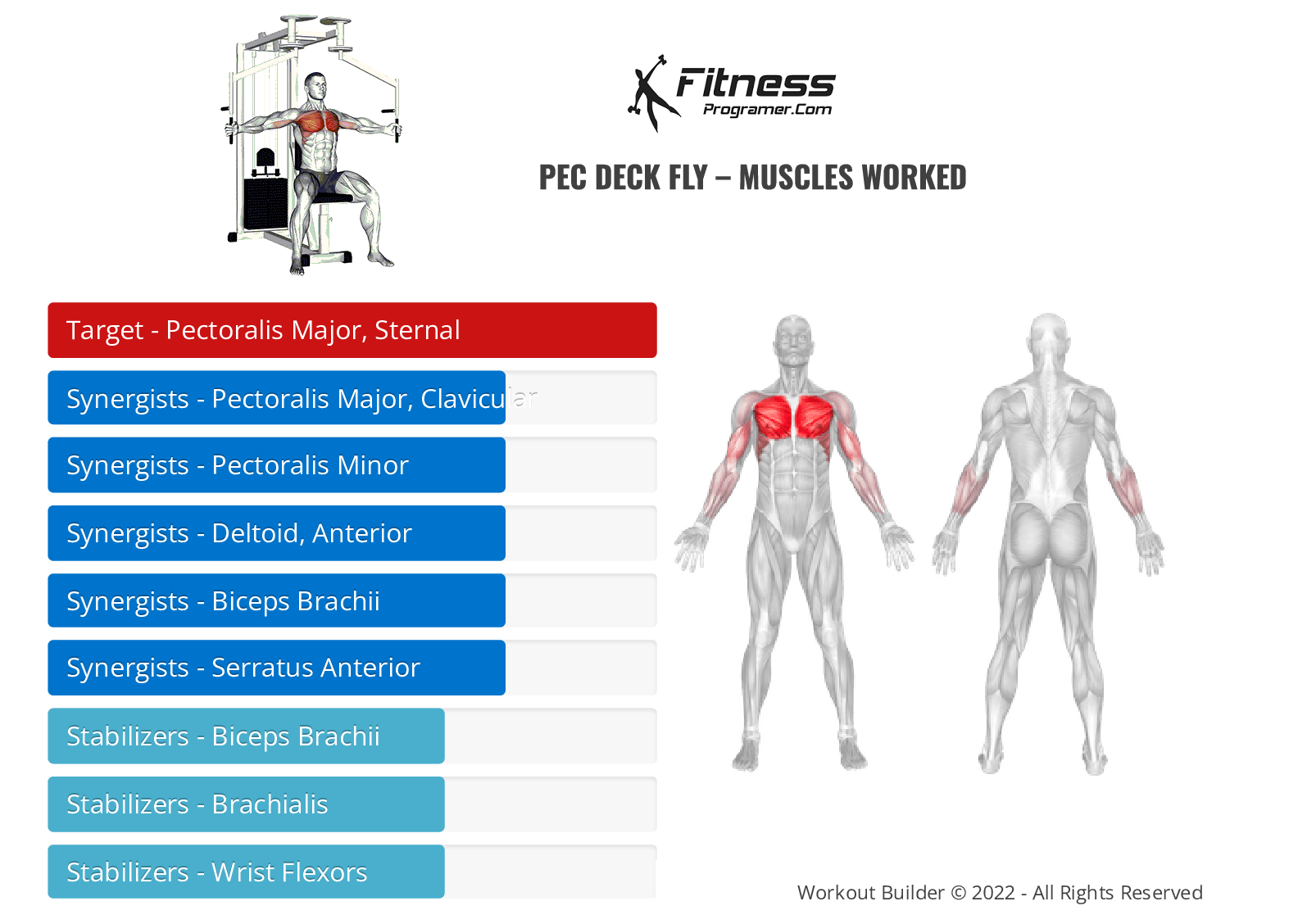 Pec Deck Fly Muscle Worked