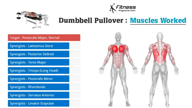 Dumbbell Pullover 4 dumbbell pullover muscles worked