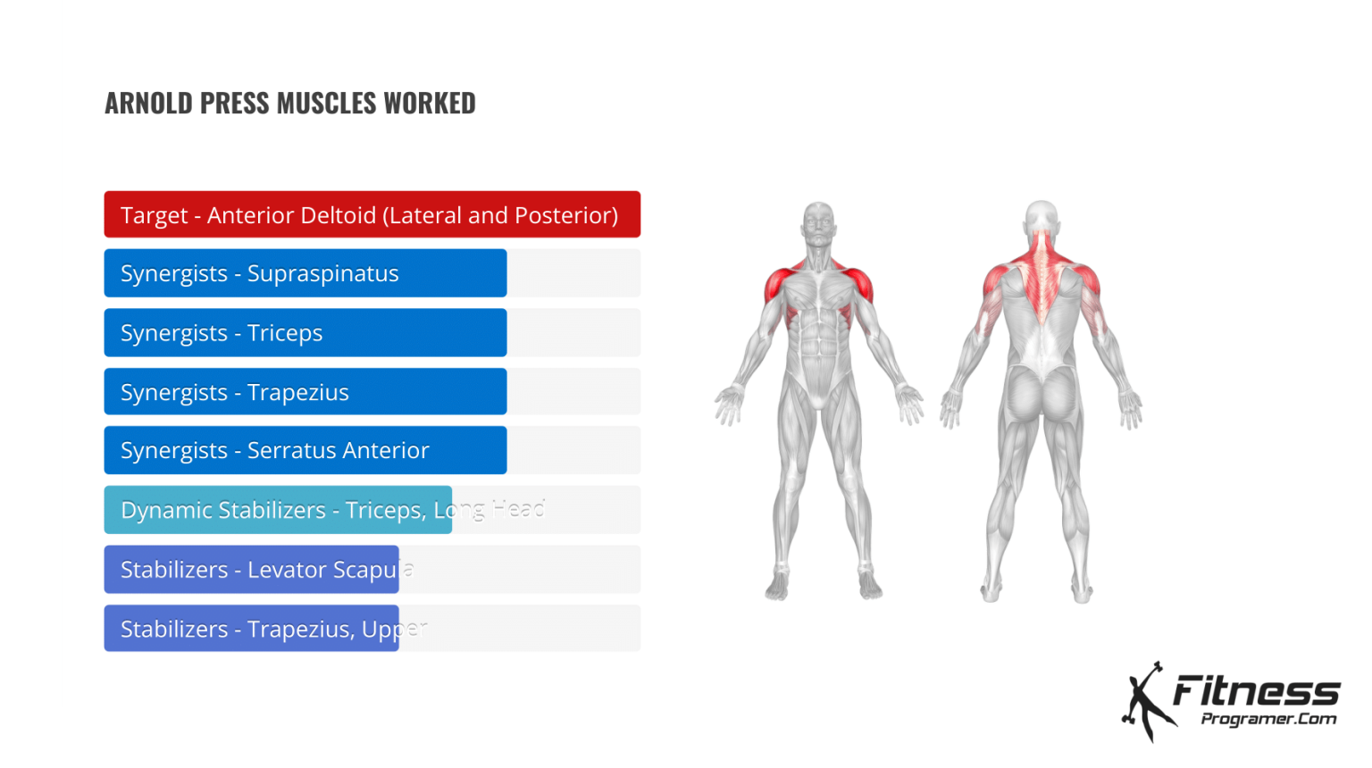 How To Do Arnold Press | Muscles Worked And Benefits