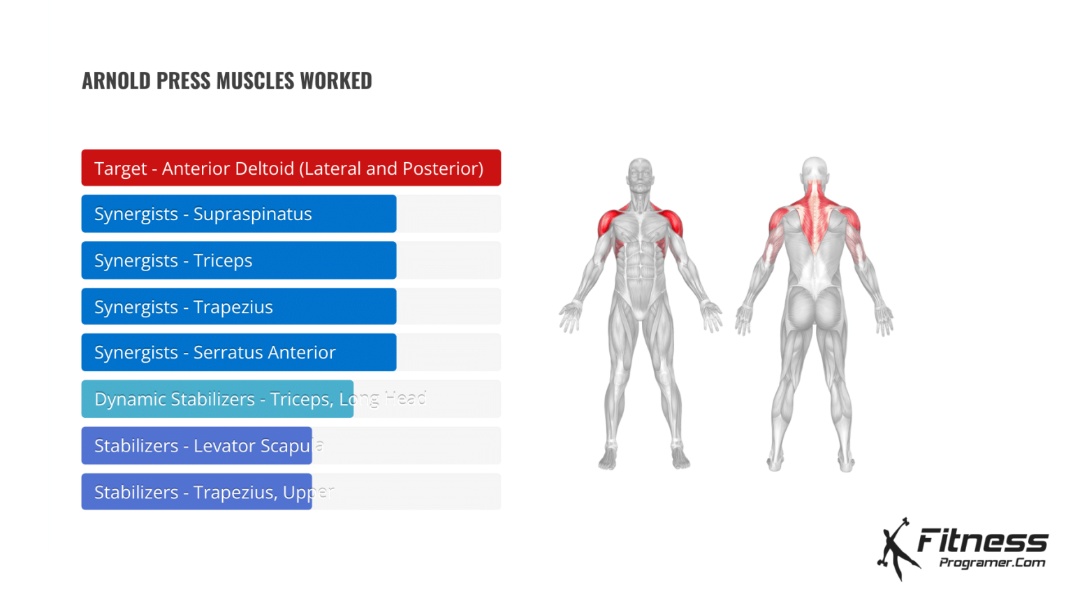 How To Do Arnold Press Muscles Worked And Benefits
