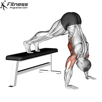 Bench Pike Push-up