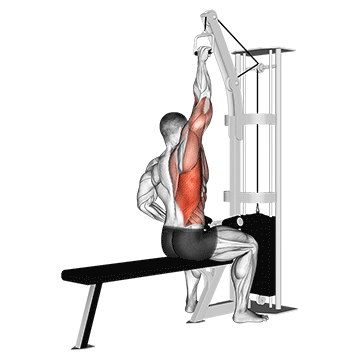 Cable One Arm Lat Pulldown