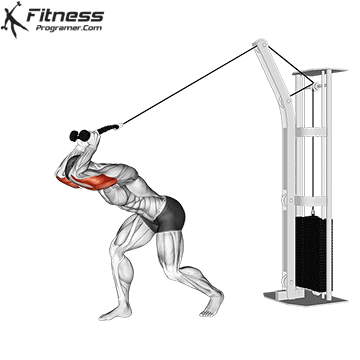 High Pulley Overhead Tricep Extension