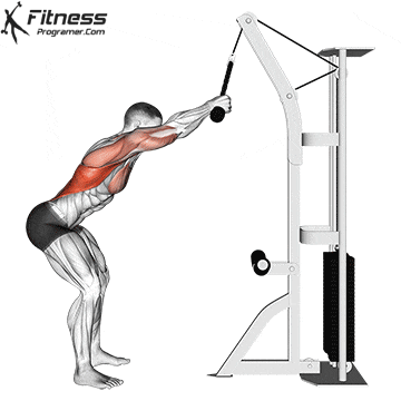 How To Do Cable Straight Arm Pulldown Muscles Worked How To Do Cable Straight Arm Pulldown Muscles Worked