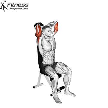 Seated Dumbbell Triceps Extension