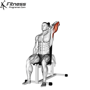 Seated One-Arm Dumbbell Triceps Extension